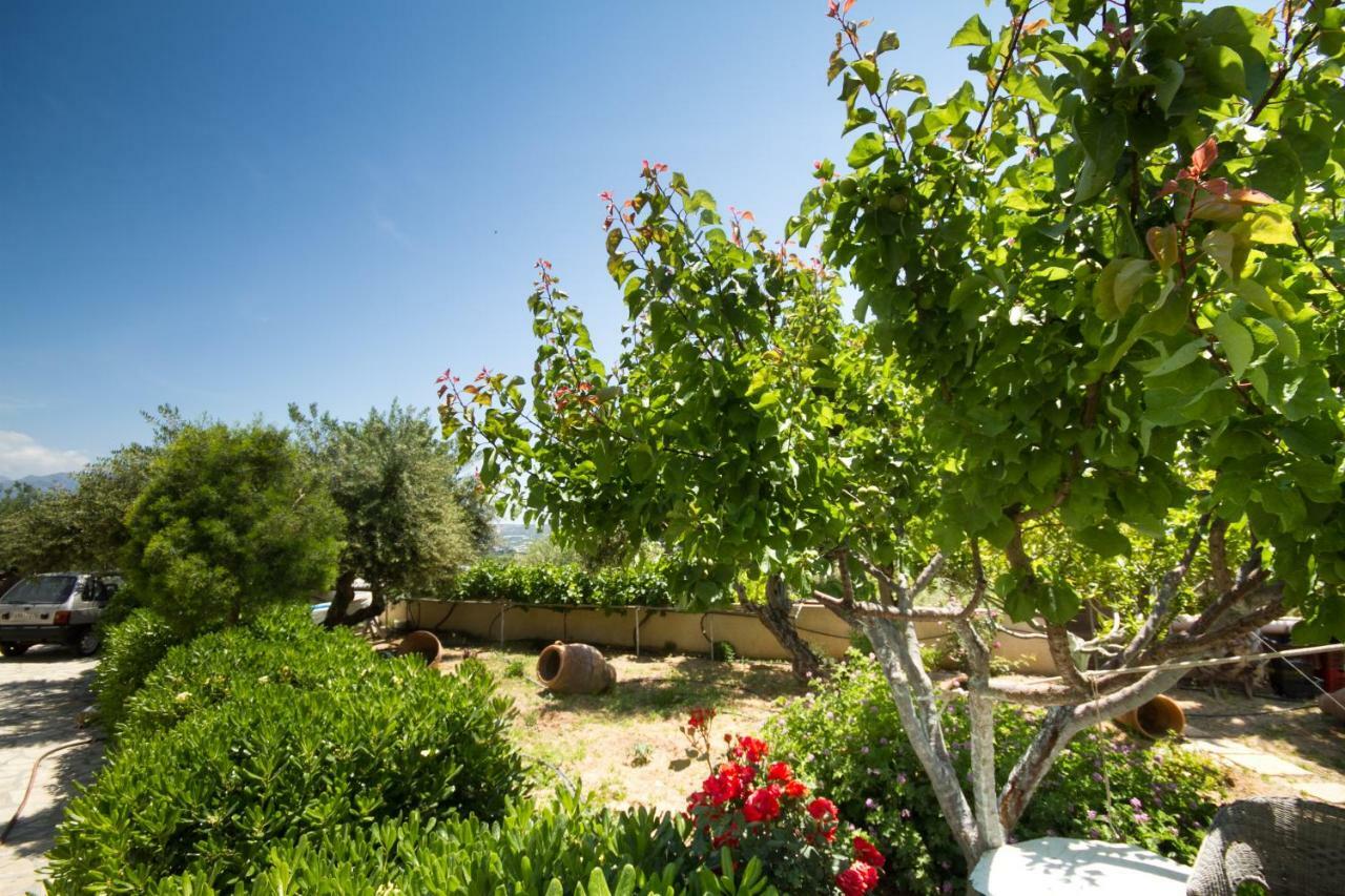לרפטרה Smaragdas Sunny Home מראה חיצוני תמונה